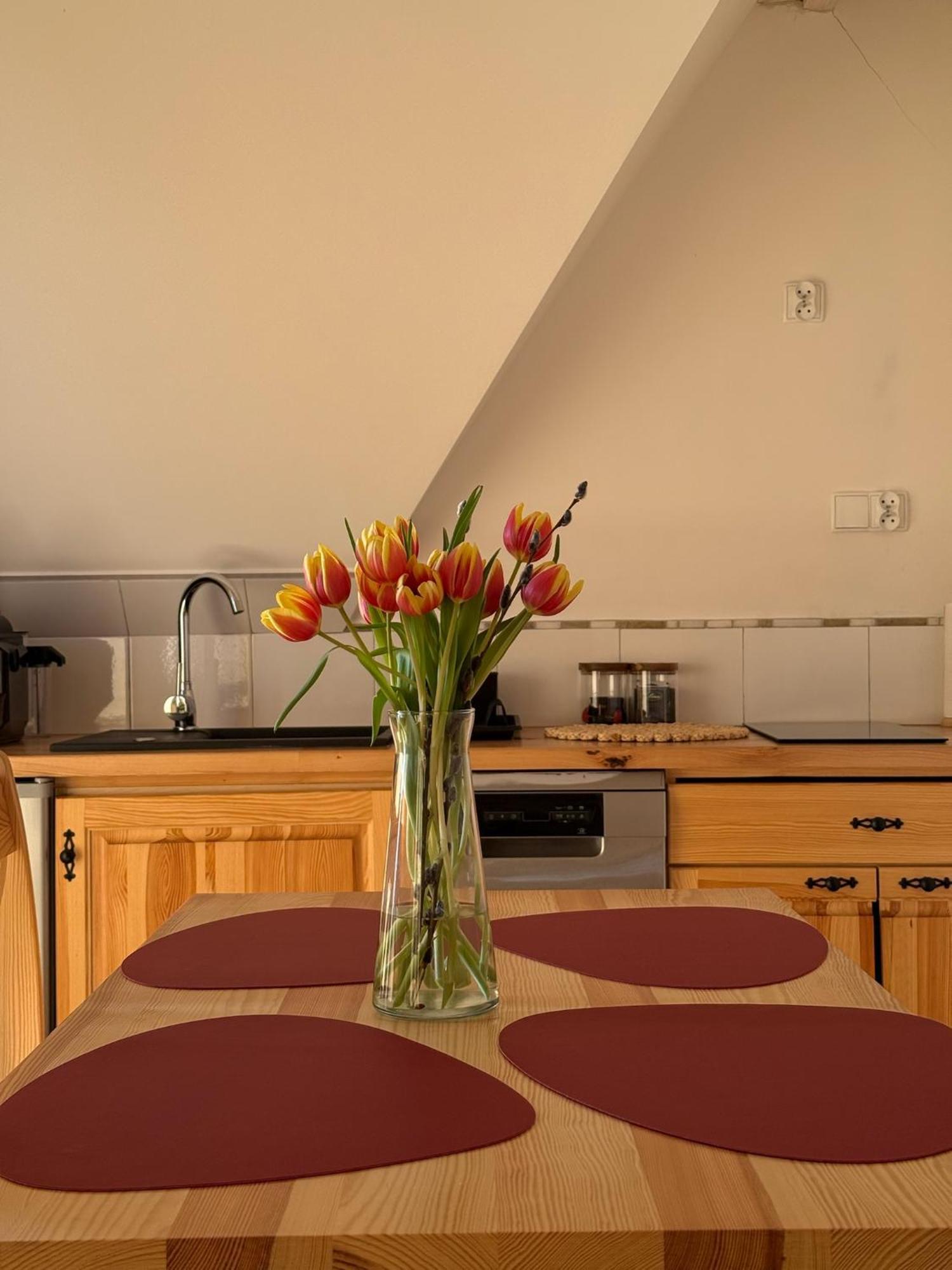 Widok Apartamenty זקופאנה מראה חיצוני תמונה